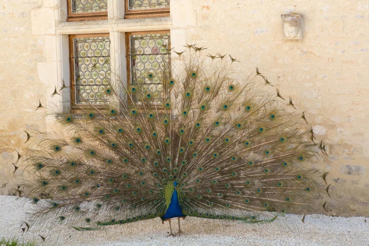 Chateau De Bois Charmant Les Nouillers ภายนอก รูปภาพ