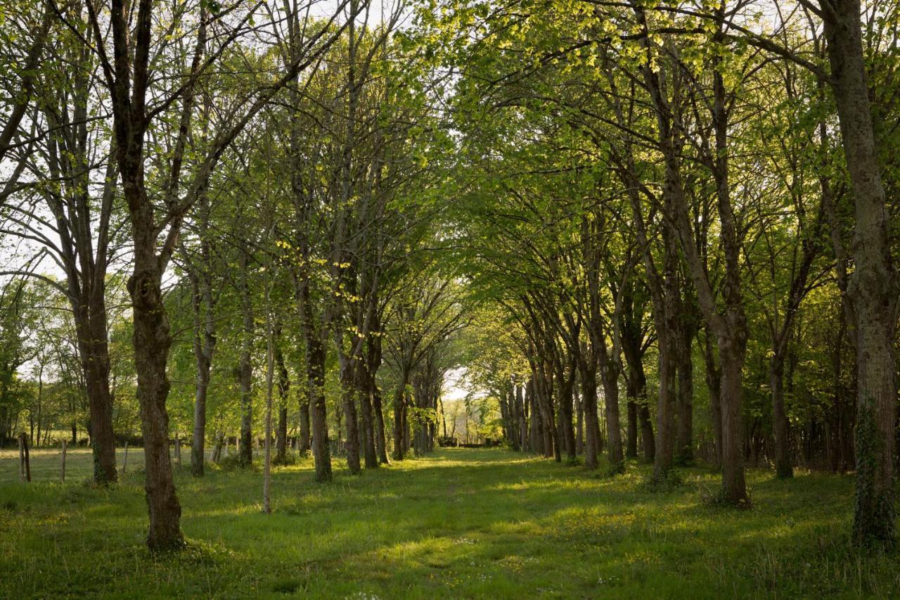 Chateau De Bois Charmant Les Nouillers ภายนอก รูปภาพ