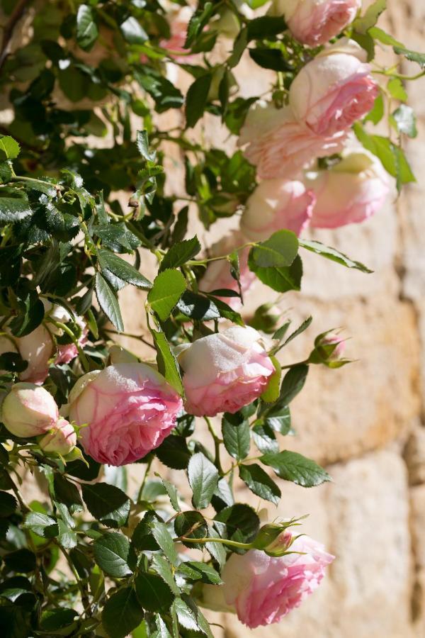 Chateau De Bois Charmant Les Nouillers ภายนอก รูปภาพ